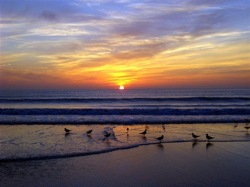 sunrise_on_myrtle_beach.jpg